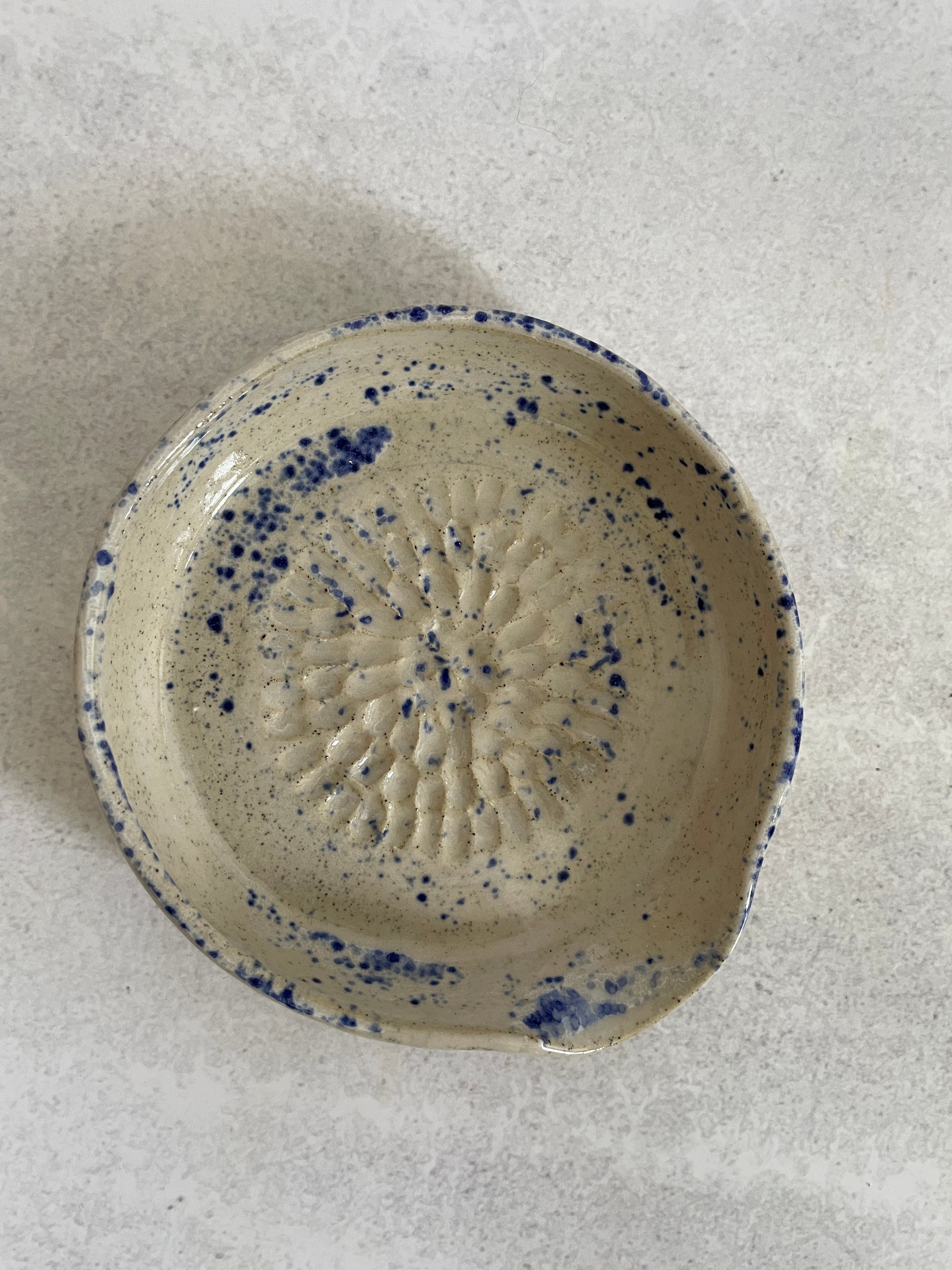 Garlic Grater | Blue Speckle